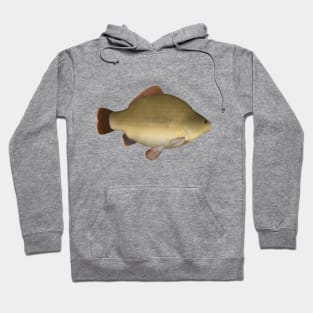 Crutean Carp Hoodie